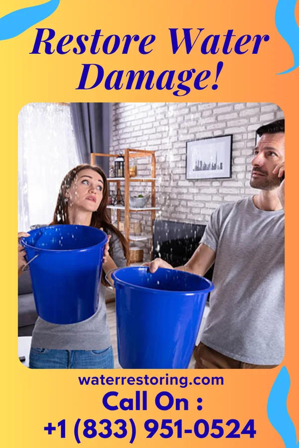 water restoration Zenith Drying Services Farmerville