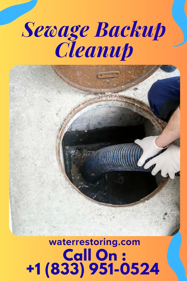 Sewage Backup Cleanup in Farmerville, LA